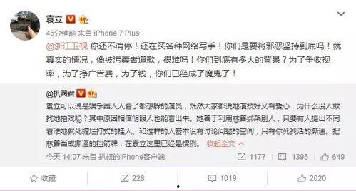 袁立采访爆料视频播放全集,揭秘娱乐圈幕后真相与个人心路历程  第3张