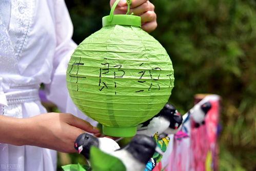 七夕吃瓜网红,网红吃瓜盛宴，揭秘娱乐圈幕后故事  第3张